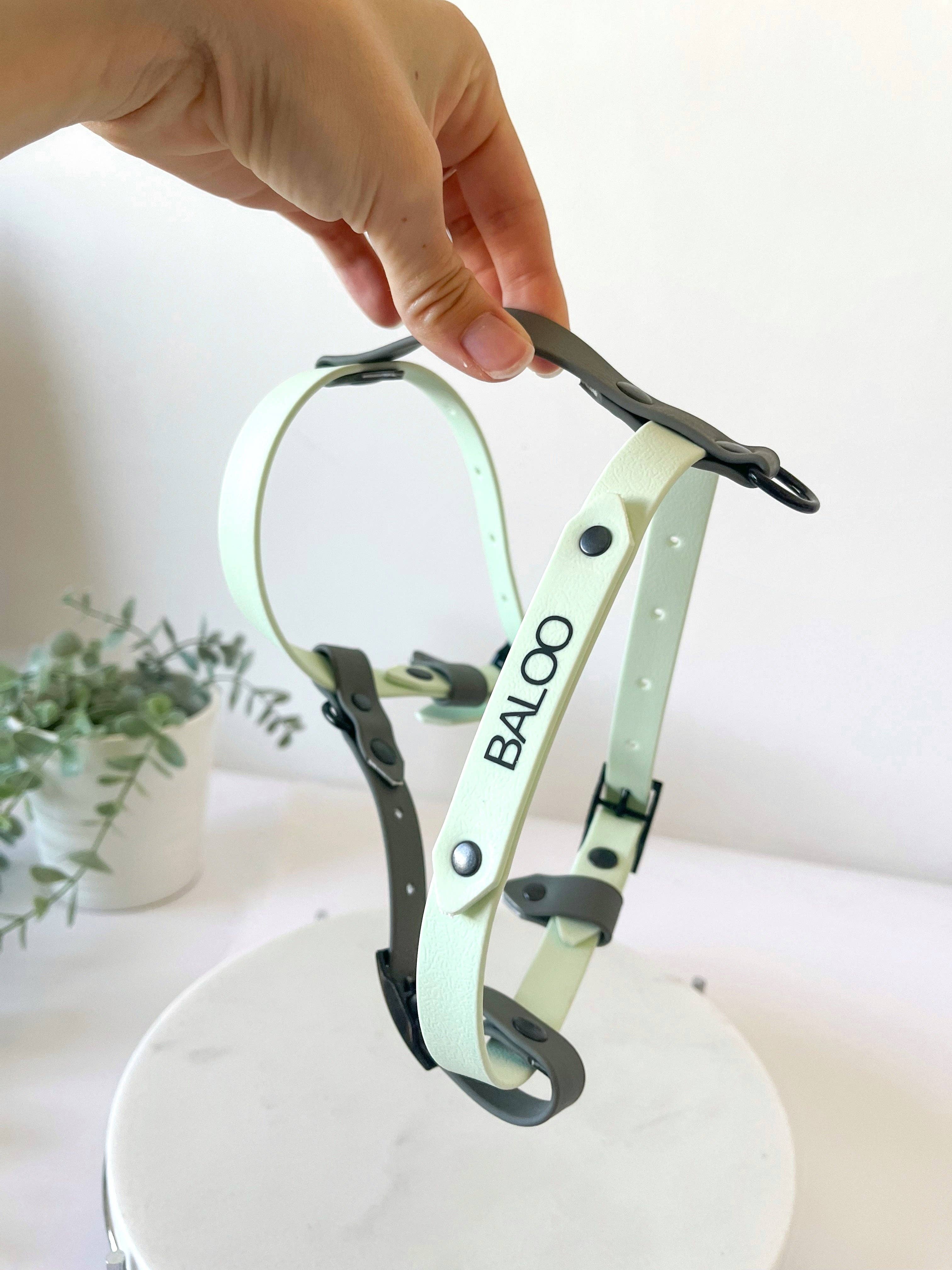 Kina Dogs - Wholesale Pet Harness - Dog - Customizable PVC harness7