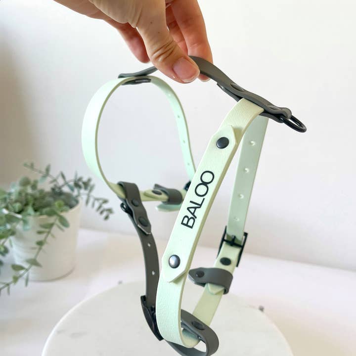 Kina Dogs - Vente Harnais – chien - Harnais personnalisable en PVC7