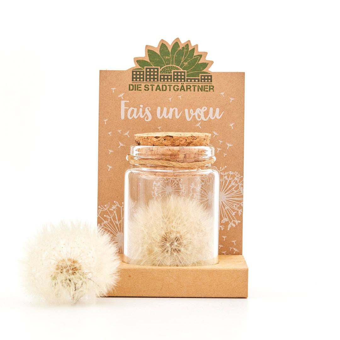 TDJ Stadtgärtner GmbH - Wholesale Party Favor - Wish fulfiller (DE, ES, FR, EN)11