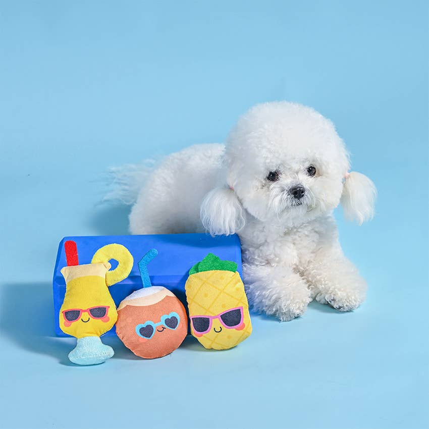 Hugsmart Products Inc - Wholesale Pet Squeaky Toy - Dog - HugSmart Pet - Food Party | Pina Cola - Dog Plush Toy4