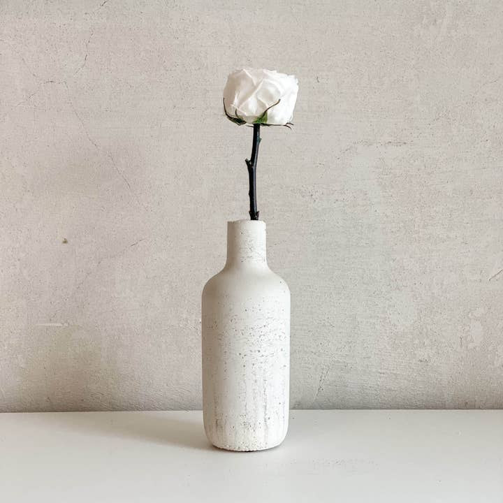 Oasis of Life - Wholesale Dried/pressed flowers - Preserved English Roses – freeze-dried – 1 or 3 pieces – Real preserved roses in white or pink – Timeless & maintenance-free decorative flowers – Durable & elegant for vases, weddings & gifts2