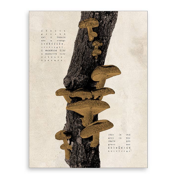 'Poetica IX' Wrapped Canvas Wall Art for wholesale by Ready2hangart, Inc.