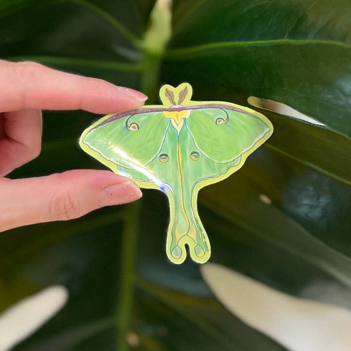 Granola Girl Outfitters - Wholesale Sticker - Holographic Luna Moth Sticker - Light-weight / Indoor: πΏπ2