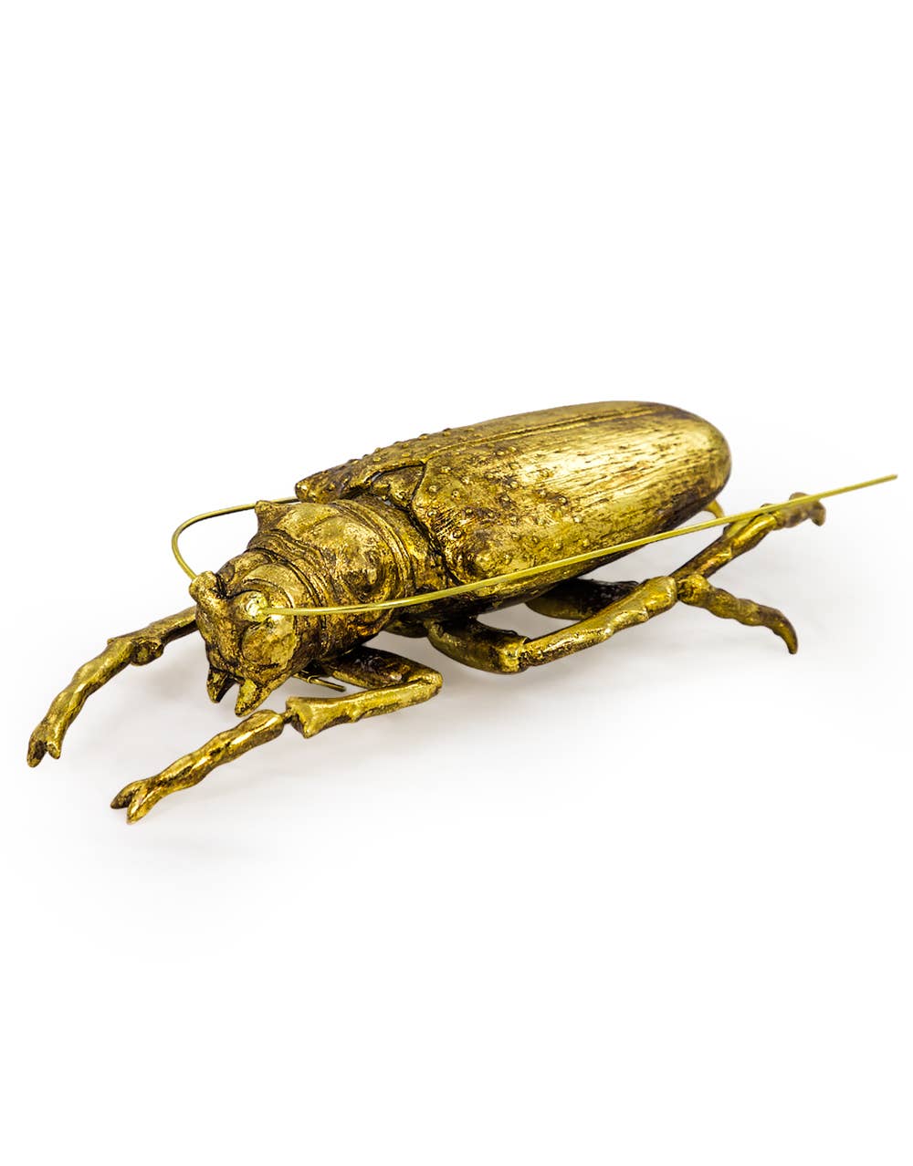 McGowan & Rutherford Ltd - Wholesale Wall Accent - Large Gold Beetle Wall Hanging1
