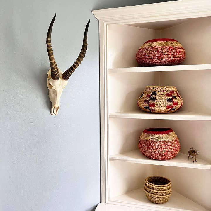 OUTPOST ORIGINAL - Wholesale Wall Accent - African Blesbok Horn - Full Skull