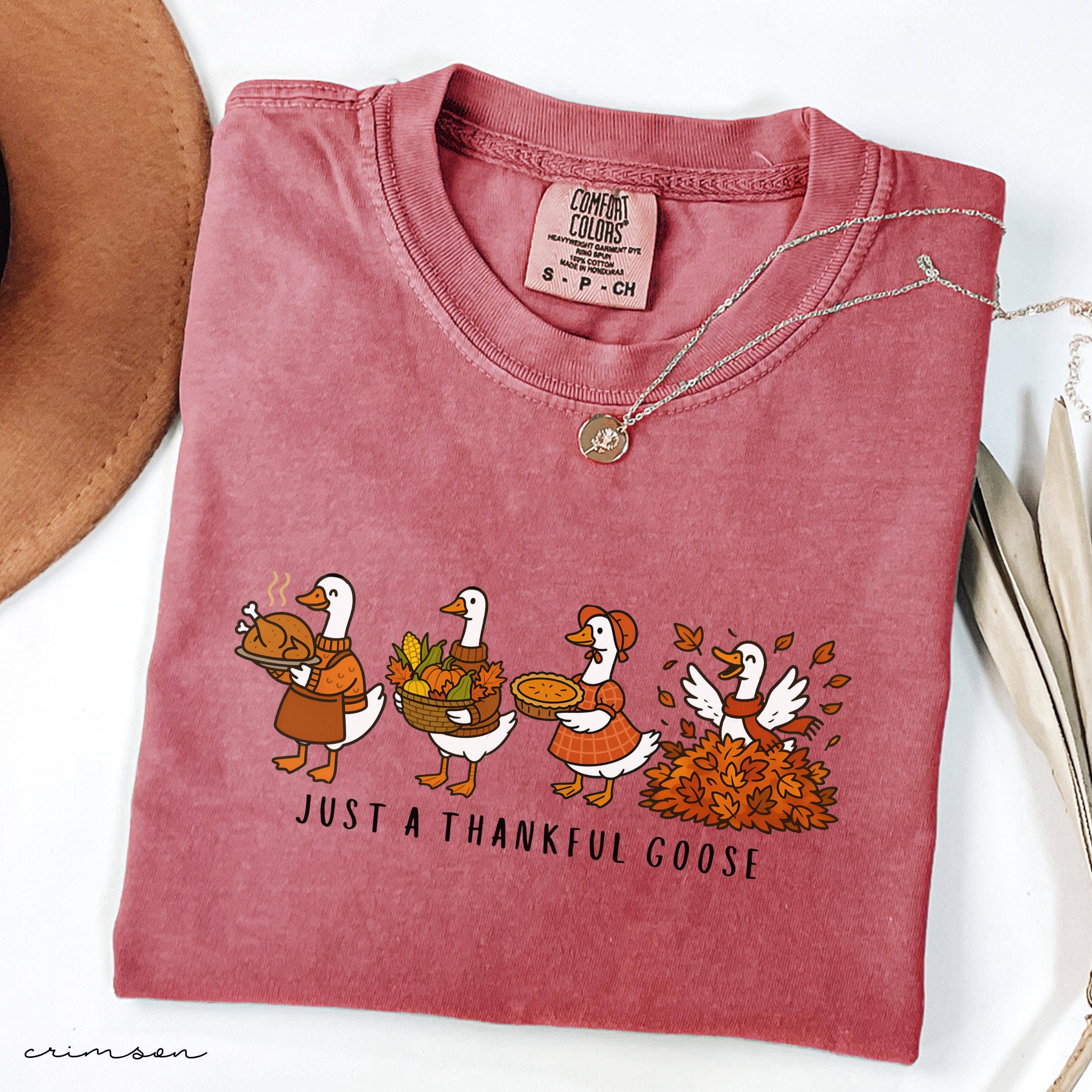 Glaime - Venta al por mayor Camiseta estampada - Mujer - Camiseta de Ganso Agradecido de Comfort Colors, Suéter de Ganso Tonto2