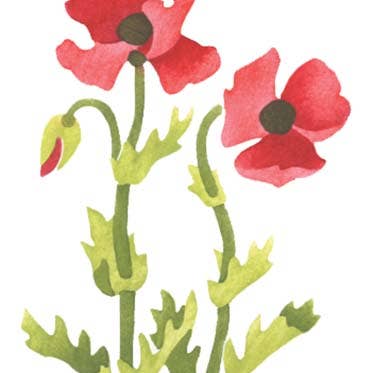 Large Poppy Flower Wall Stencil for wholesale by Designer Stencils
