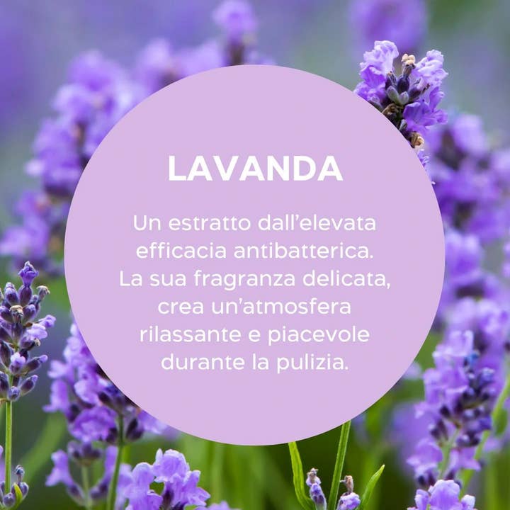 NIVEL SRL SOCIETÀ BENEFIT - Wholesale Cloth Wipe Spray - Baby - Biolù Eco Tabs - Bio Anti-limescale Detergent Spray 6 tabs3