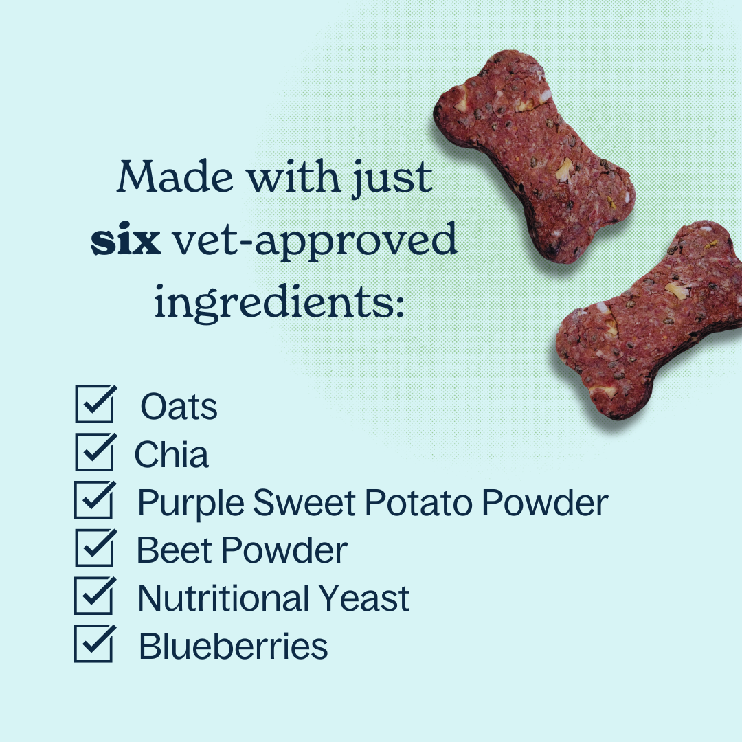 Scratch Treats - Wholesale Pet Treats - Dog - Bake-At-Home Dog Treat Kit - Purple Pup - Makes 80 Treats2