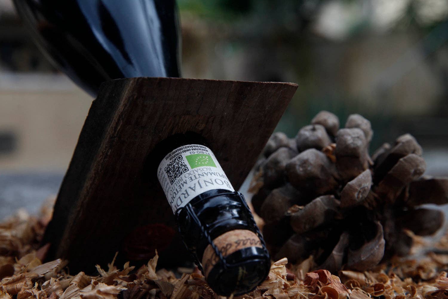 Bonjardim Wines - Wholesale Champagne/Sparkling Wine - Bonjardim Sparkling Wine Brut Natural | Organic5