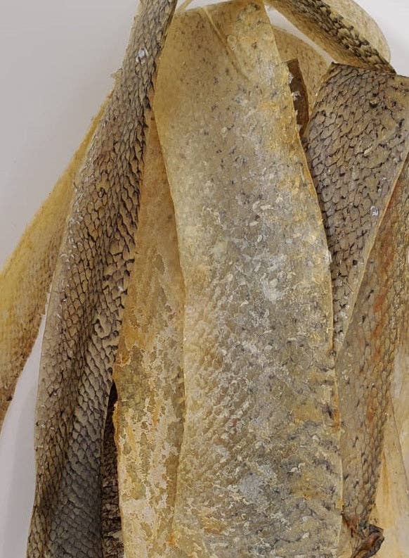 TickledPet - Wholesale Pet Treats - Dog - Salmon Skins 6 oz retail bag2