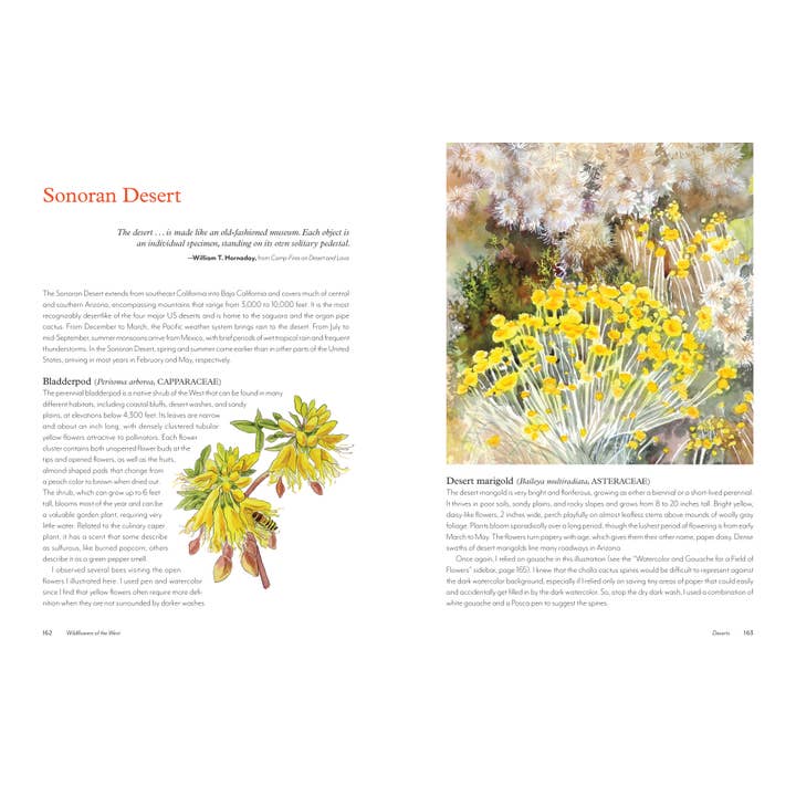 Mountaineers Books - Wholesale Nature & Outdoors - Wildflowers of the West7