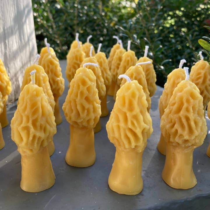 King Cobra Apiary Honey - Wholesale Novelty Candle - Morel Mushroom Beeswax Candle2