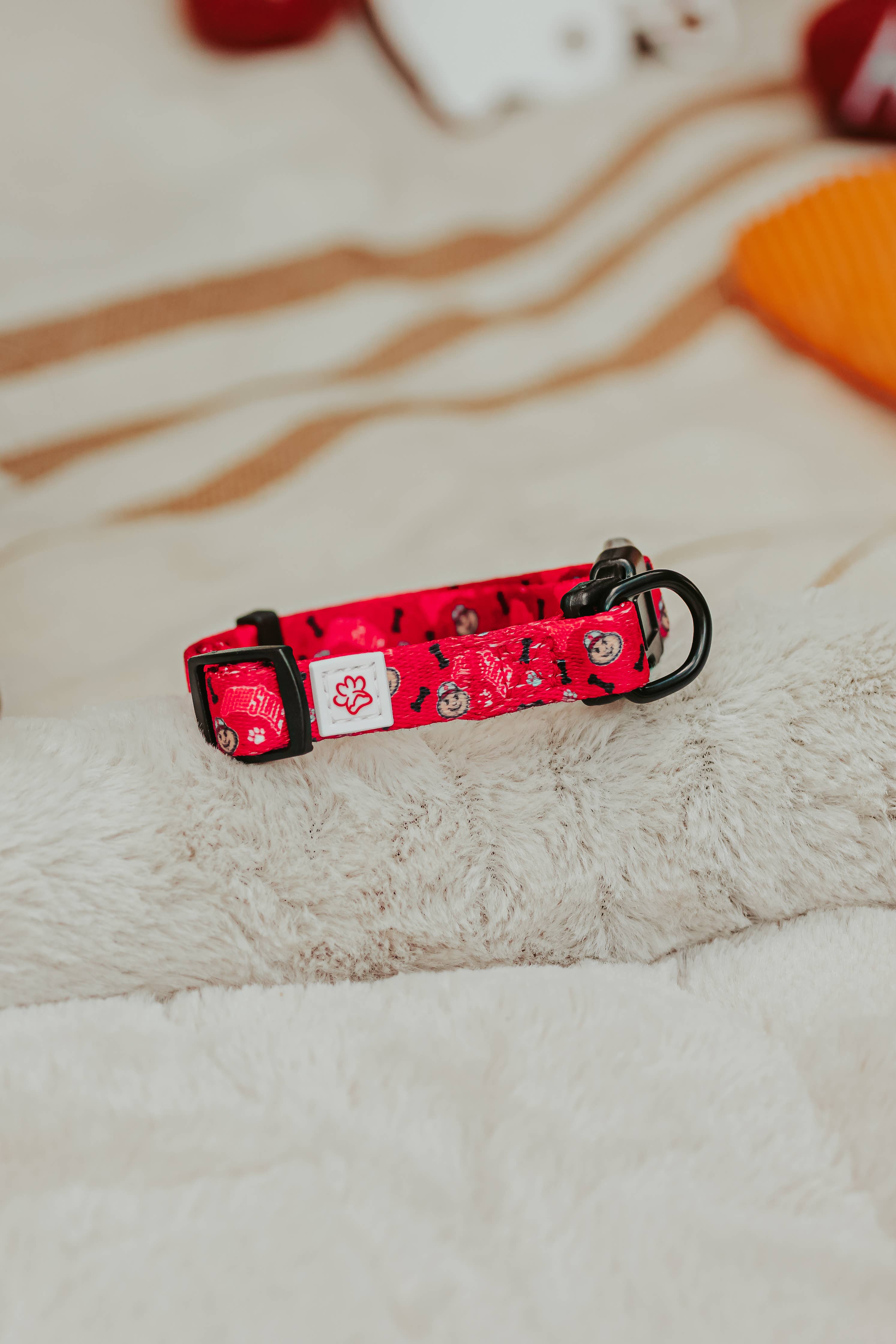 Top Rocks Doggie Wear – coleira - Cão por atacado – Coleira de cão com estampa de pata Brutus Buckeye State Ohio State