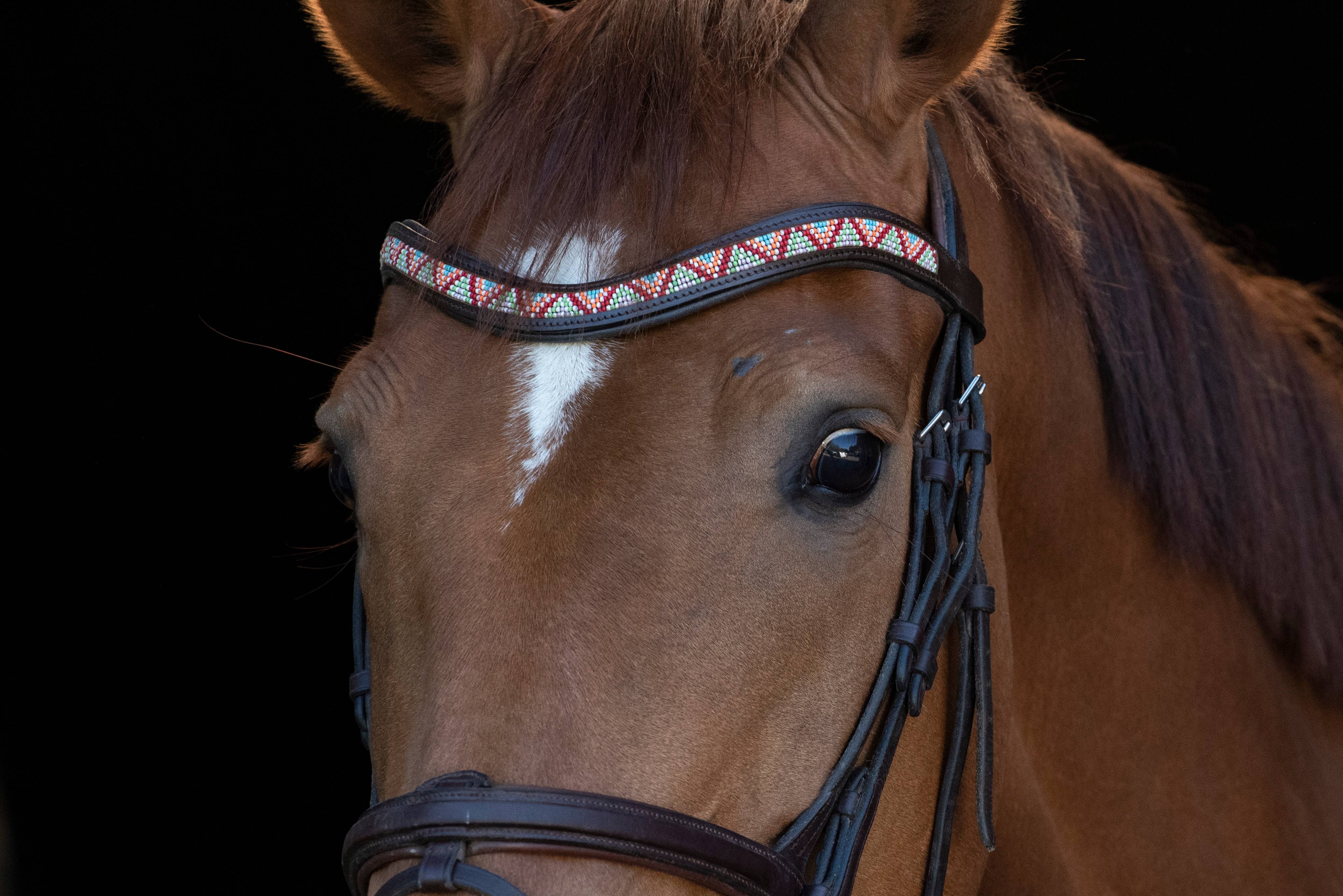 kay-line - Wholesale Pet Collar - Dog - Leather HORSE Browband WHITE PULSE3