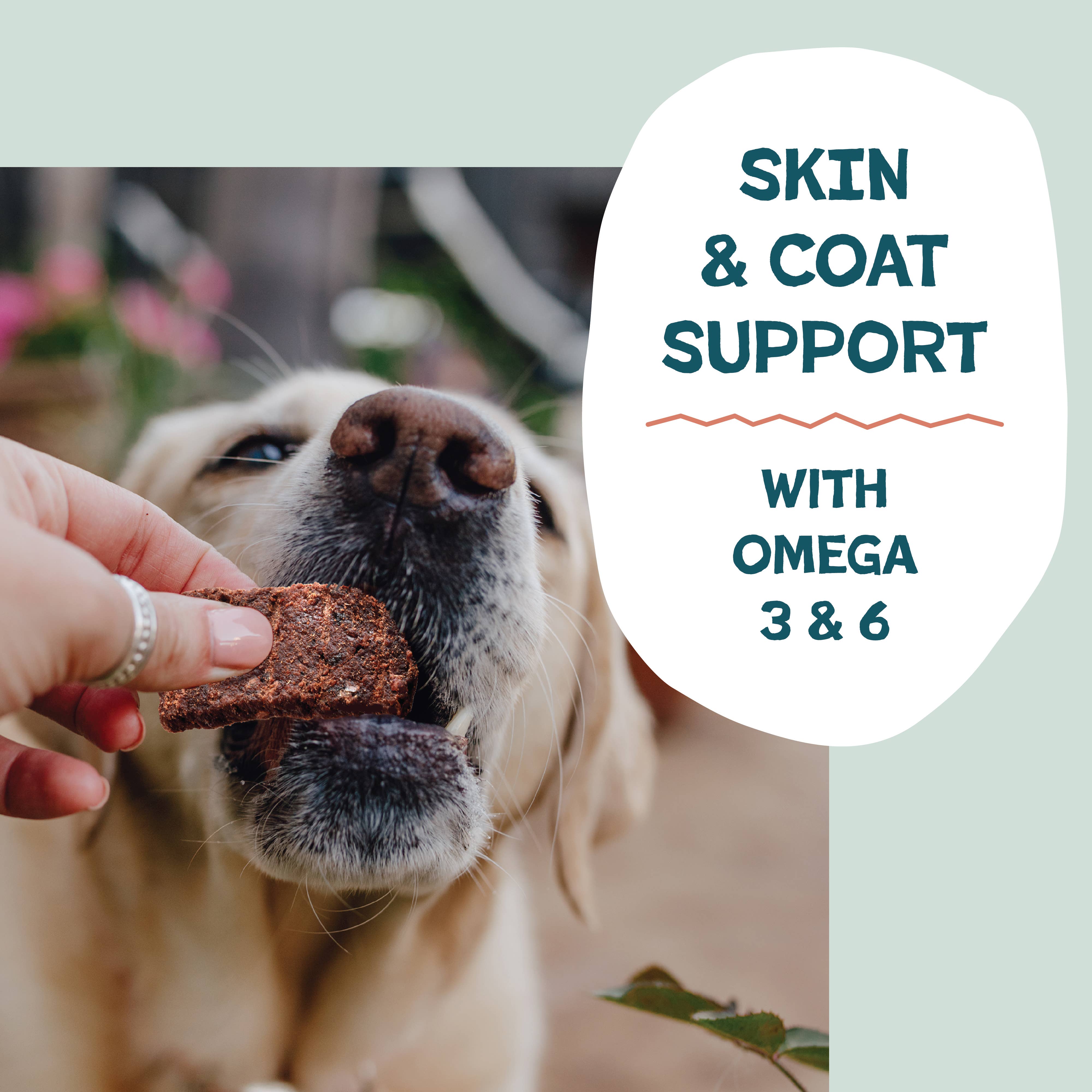 Shameless Pets - Wholesale Pet Treats - Dog - Salmon Loves Butternut Jerky Dog Treats5