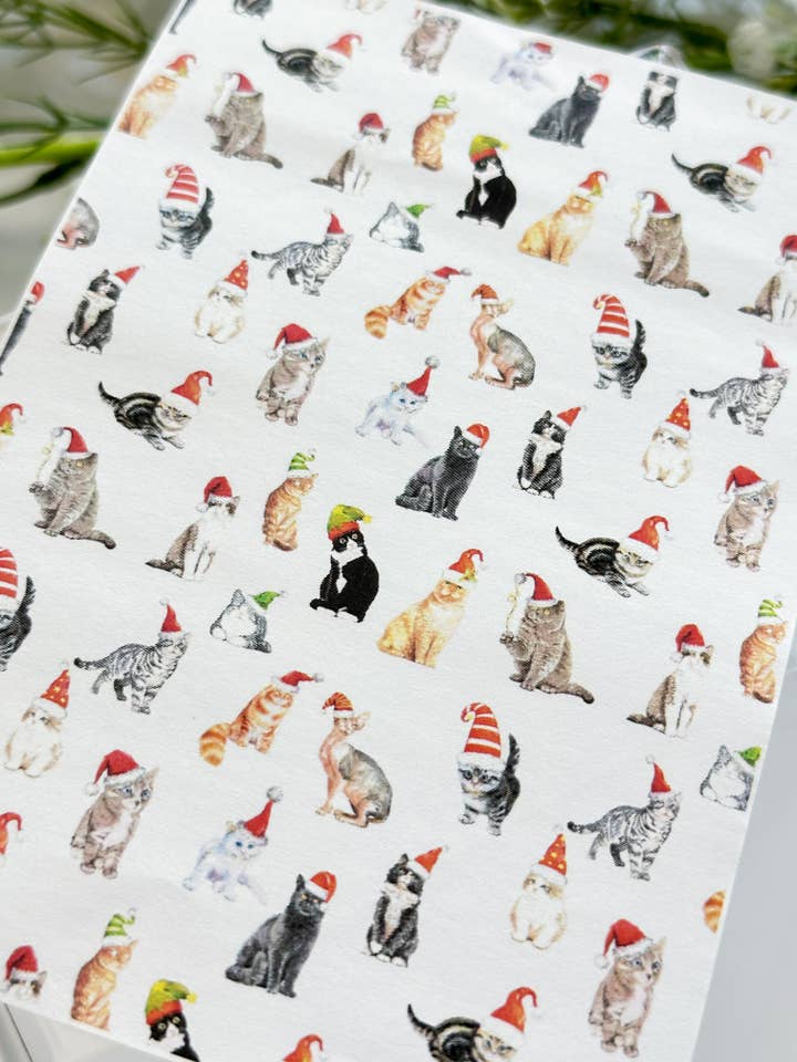 Papel de Transferencia 416 Gato Festivo | Imagen de Transferencia de Agua para venta al por mayor de Tera Clay