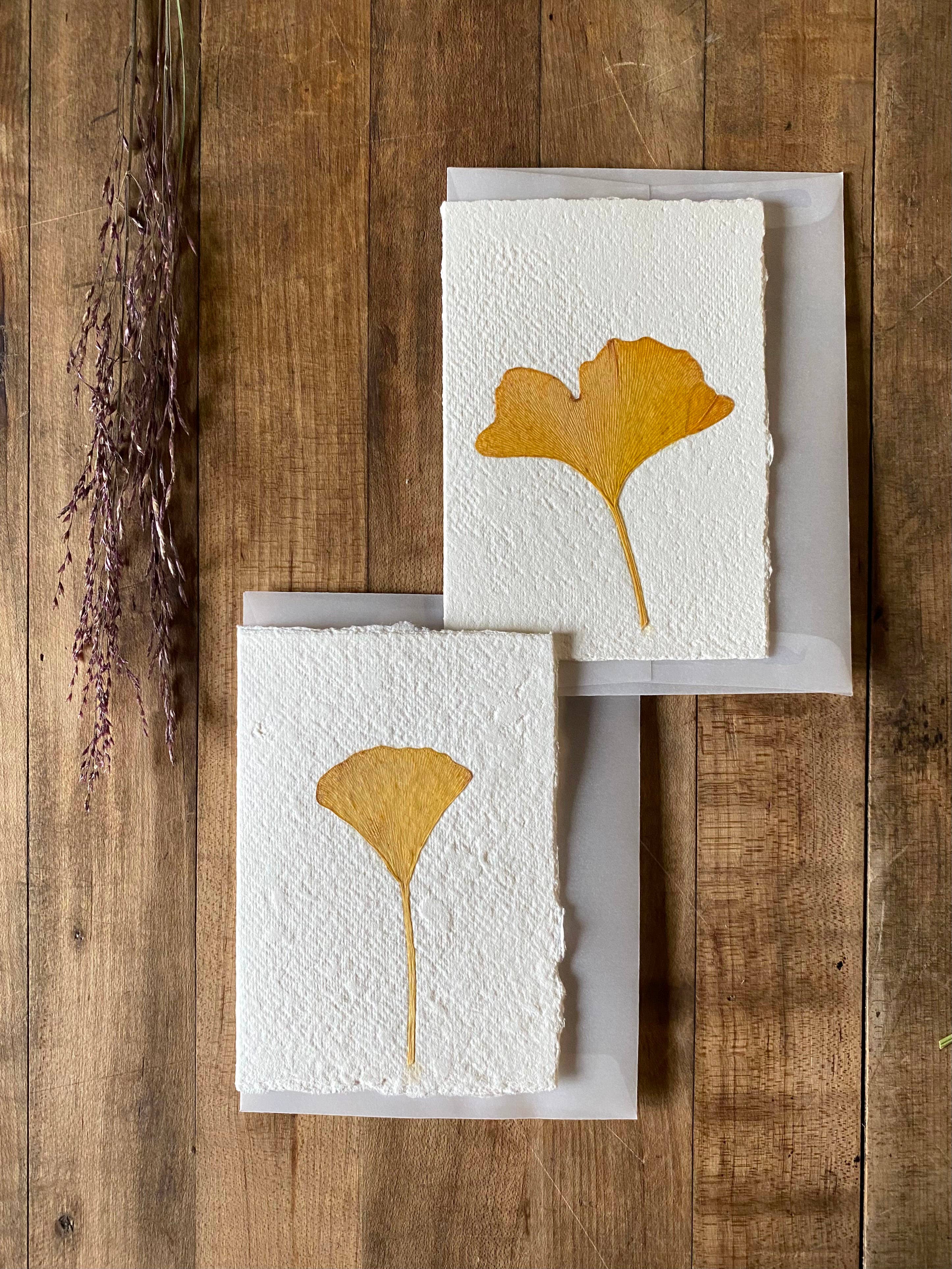 Bat Flower Press - Wholesale Everyday Greeting Card - Ginkgo handmade greeting card1