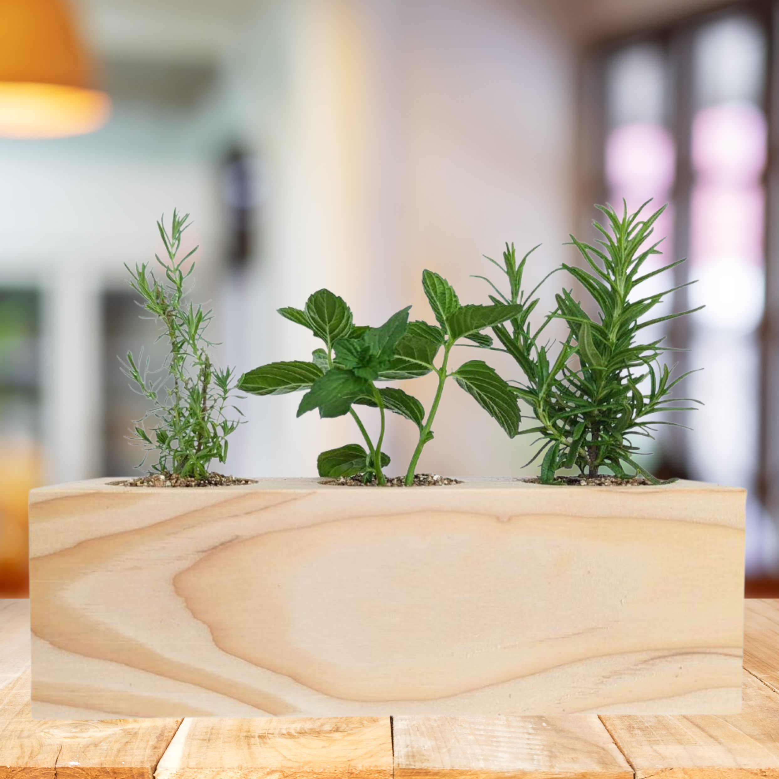 Sprigbox - Wholesale DIY Craft Kit - Cocktail Mixers Starter Kit | Grow Lavender, Mint, Rosemary3