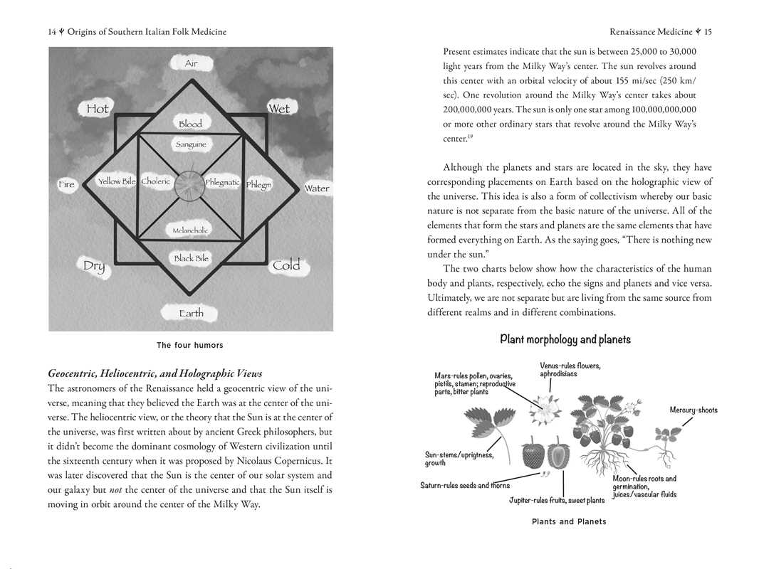 Simon & Schuster - Wholesale Medical Health - Della Medicina by Lisa Fazio6