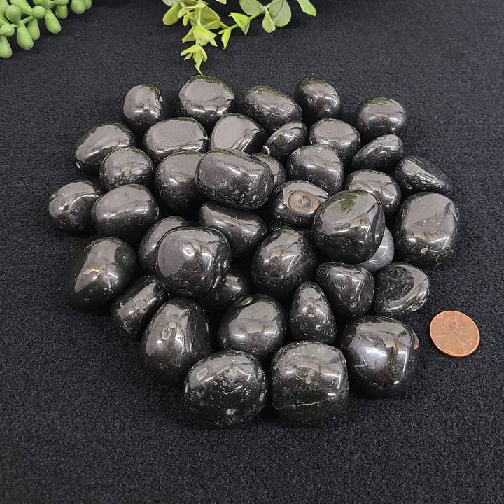 Black Tourmaline (0.5kg/1.1 lbs) Tumbled Stone 20-25mm for wholesale by Meraki Gemstones
