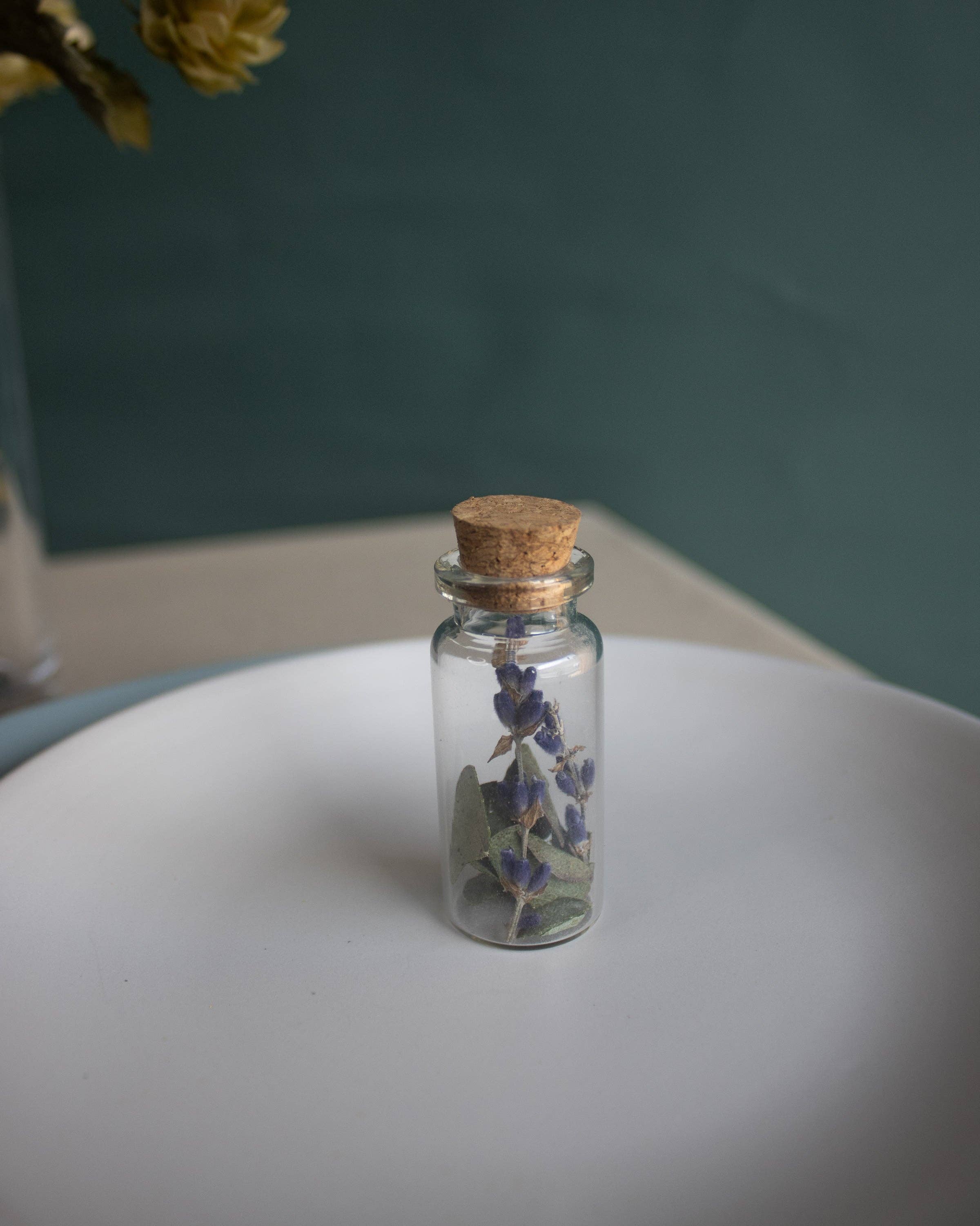 Fernseed - Wholesale Dried/Pressed Flowers - Mini Dried Flower Vials4