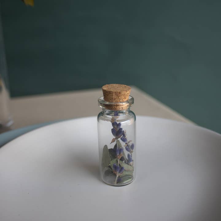 Fernseed - Wholesale Dried/Pressed Flowers - Mini Dried Flower Vials4