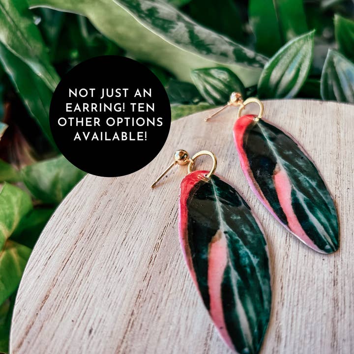Stromanthe Plant Leaf Earring, Magnet, Accessories, Decor for wholesale by hethr