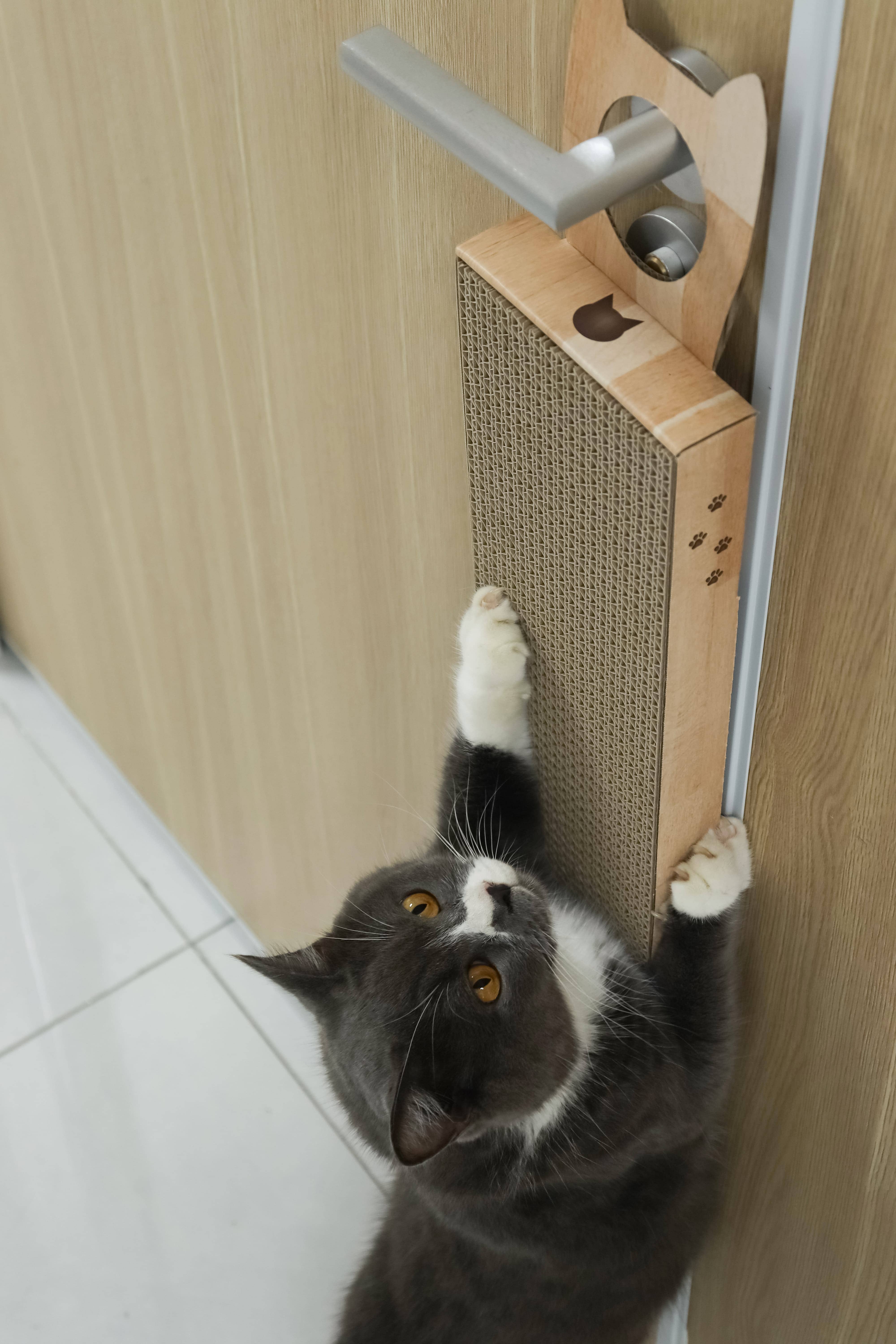 MOON-X USA, INC. - Wholesale Pet Scratcher - Cat - Hang & Scratch Doorknob Scratcher (Oak)5