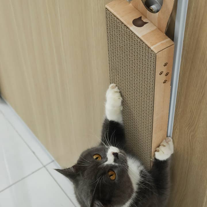 MOON-X USA, INC. - Wholesale Pet Scratcher - Cat - Hang & Scratch Doorknob Scratcher (Oak)5