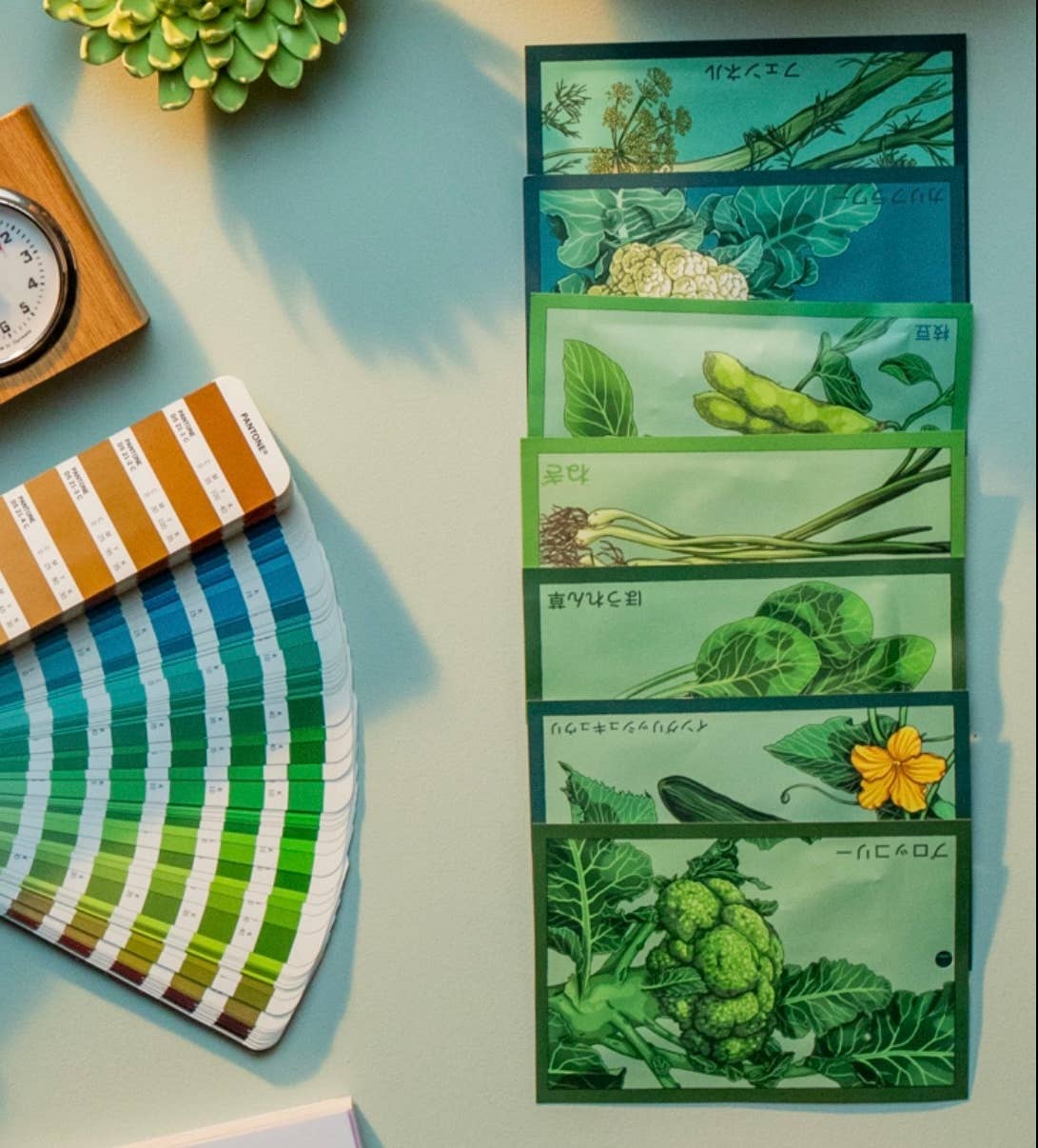 Chive - Wholesale Plant Seeds - Bulk Flower Seeds Wholesale — Premium Flower Seed Packs5