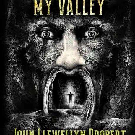 Books by splitShops - Wholesale Book - Adult - How Grim Was My Valley - Paperback