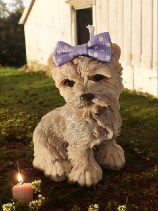 maya for wholesale by Irrésistible Bougie