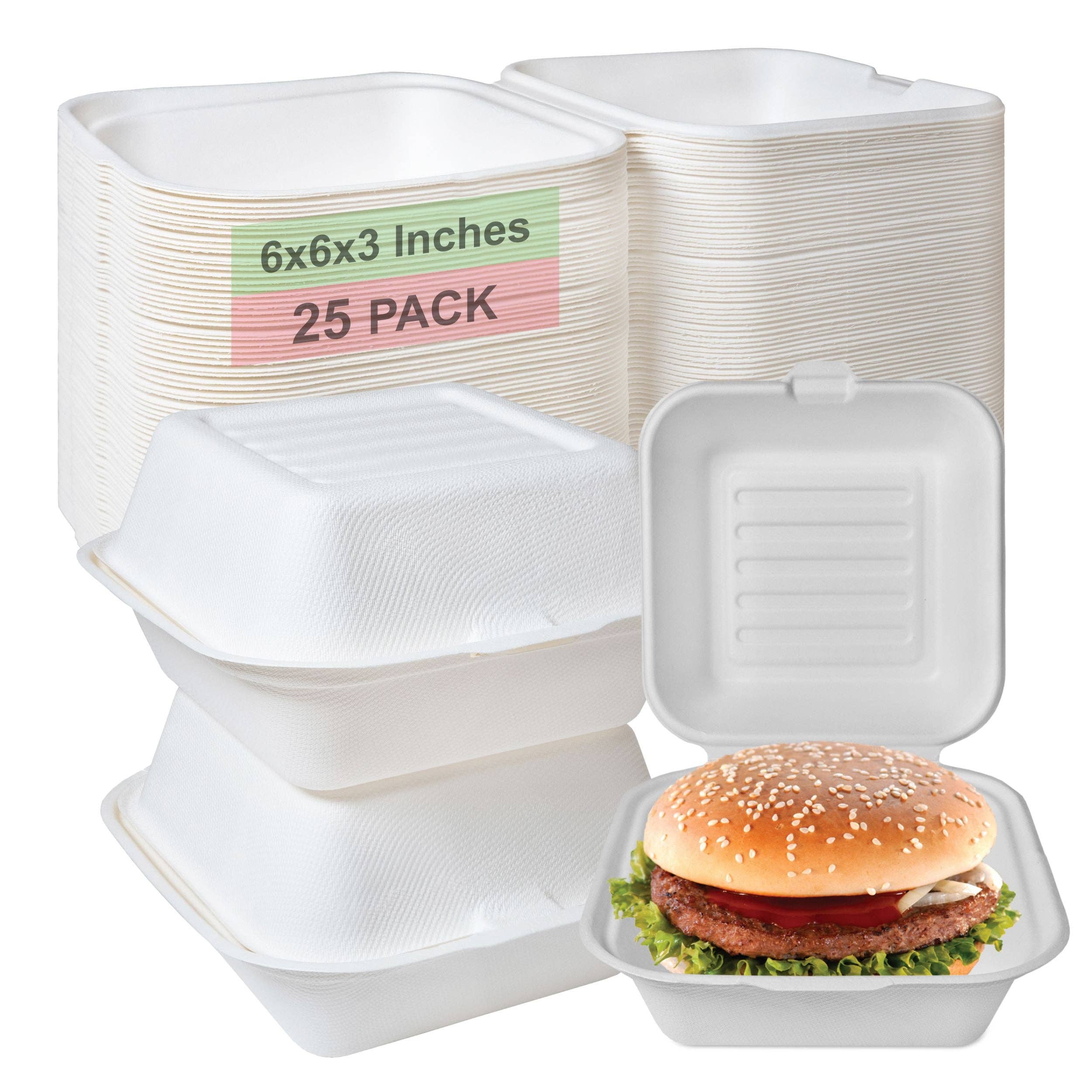 6 x 6 Clear Plastic Clamshell Take Out Food Container