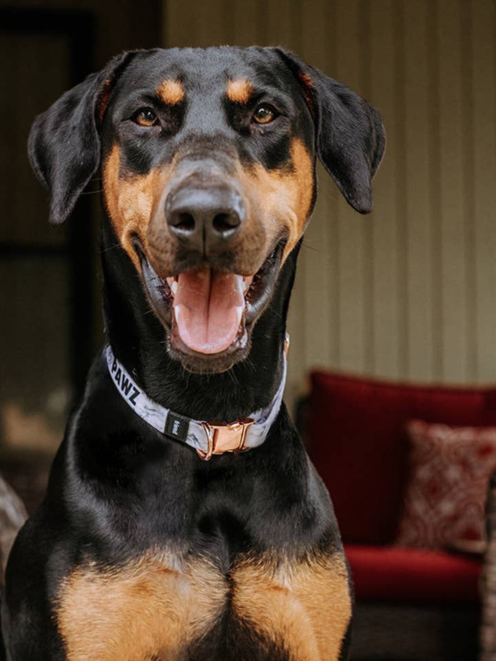 White Marble Dog Collar for wholesale by PAWZ