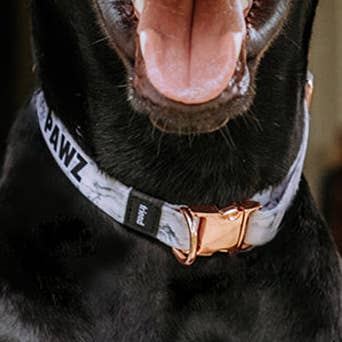 White Marble Dog Collar for wholesale by PAWZ