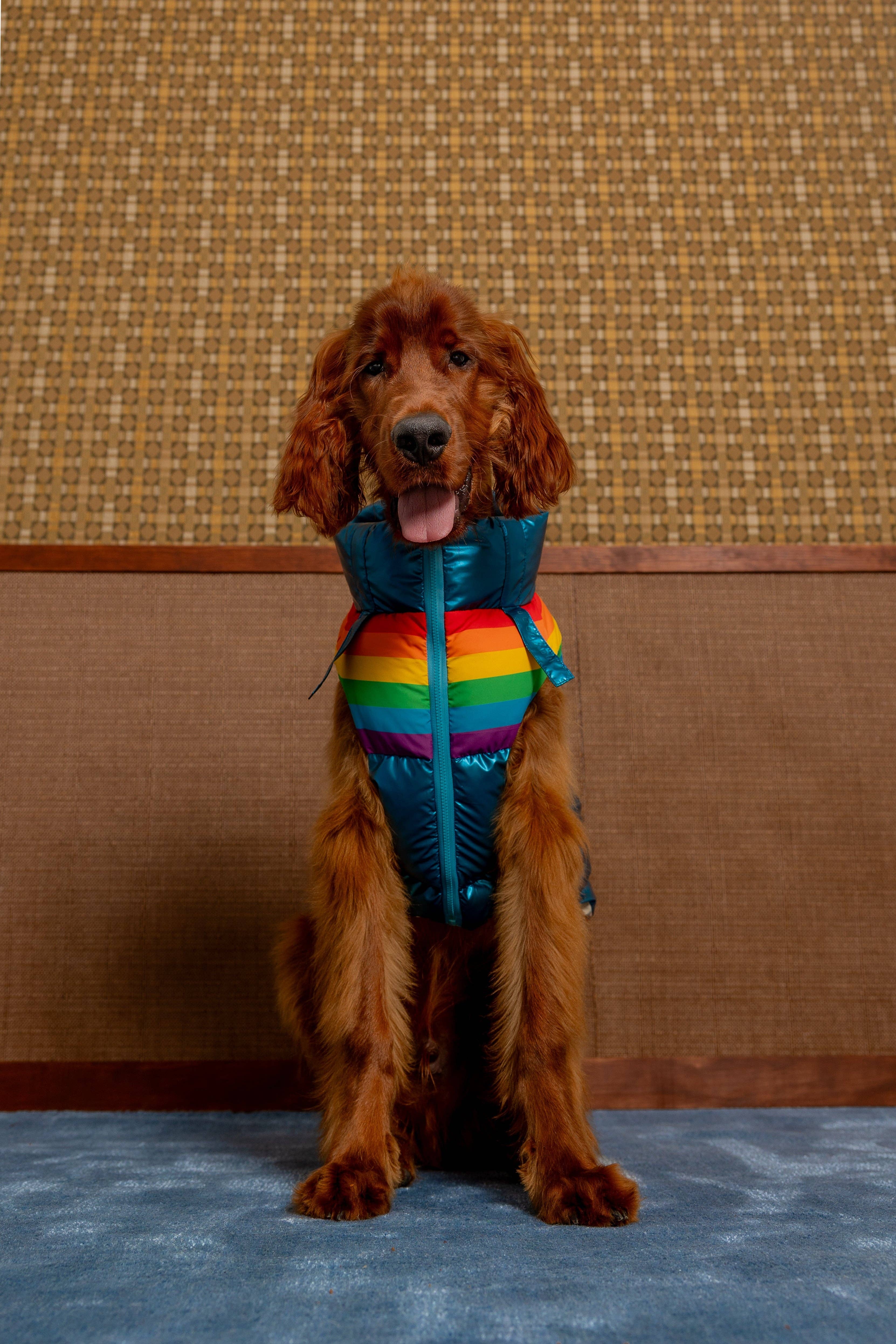 maxbone - Wholesale Pet Vest - Dog - Stranger Things x maxbone WSQK Puffer Vest3