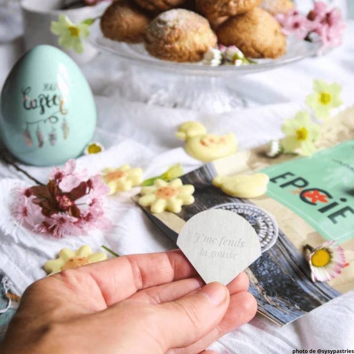 EPCIE® - Wholesale Kitchen Tool/Gadget - Dégousseur® EPCIE® - The Essential for Splitting & Seeding1