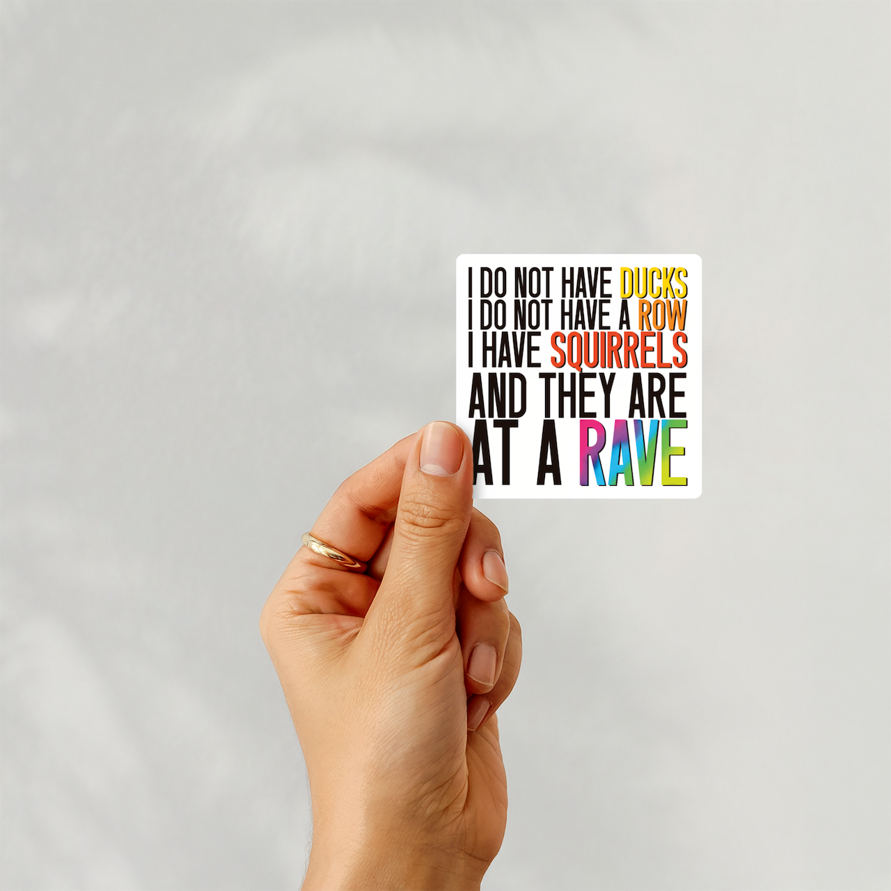 LNZ Custom Design - Wholesale Sticker - I do not have ducks - ADHD Neurodivergent joke Sticker0