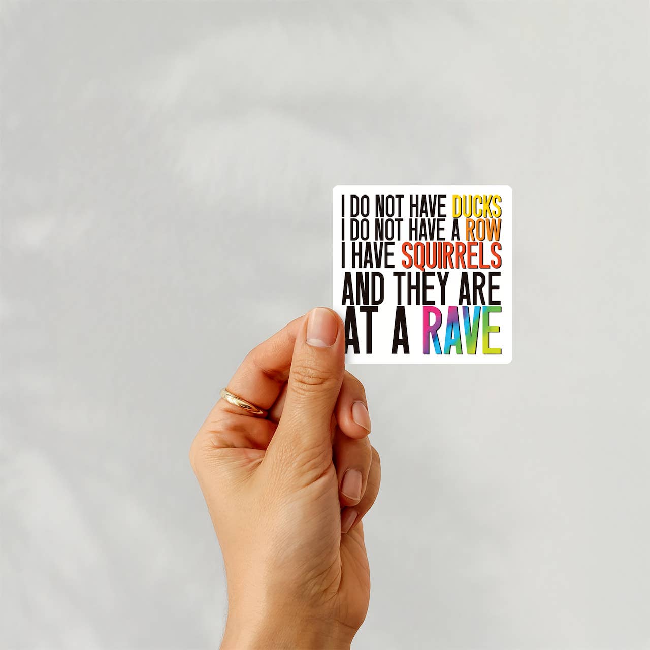 LNZ Custom Design - Wholesale Sticker - I do not have ducks - ADHD Neurodivergent joke Sticker