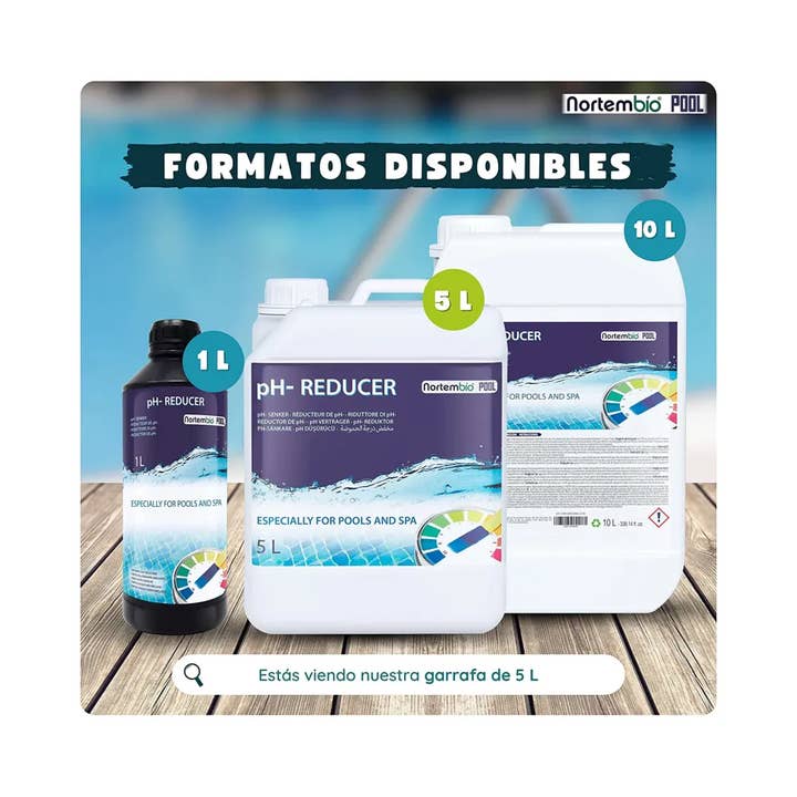 NORTEM BIOTECHNOLOGY GROUP - Wholesale Dried Spice - Ph 5 L Reducer For Pool And Spa. Improve Quality1