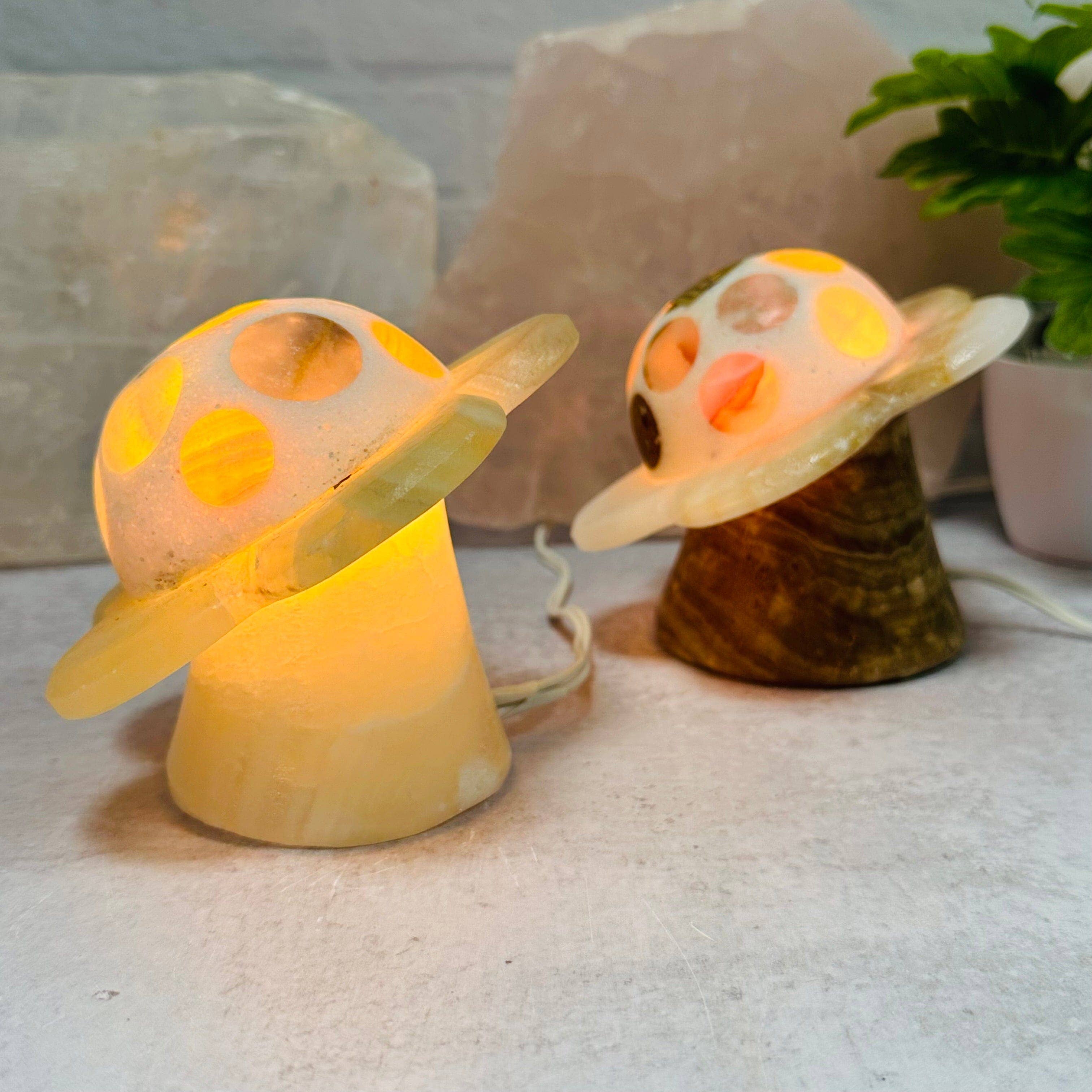 Rock Paradise - Wholesale Accent/Desk Lamp - Crystal Mexican Onyx Flower Lamp6