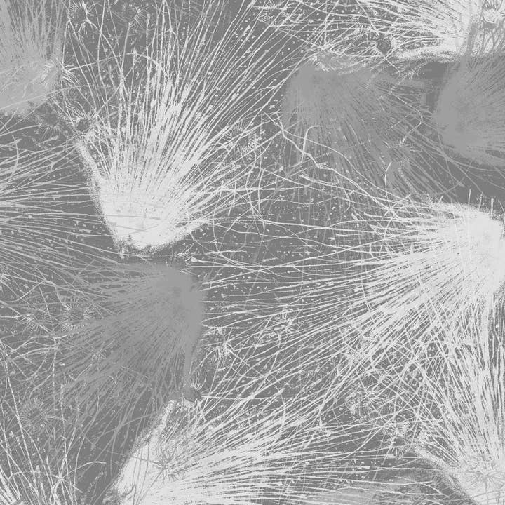 Blast - Windtapete für den Großhandel von Detroit Wallpaper Co.