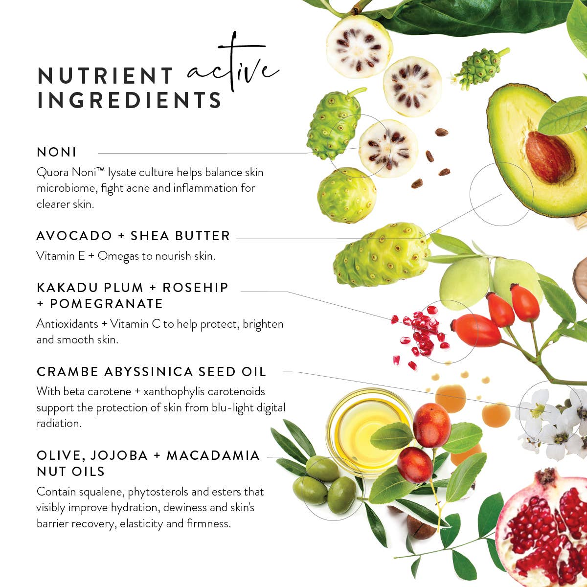 LÜK BEAUTIFOOD [🇦🇺 AUS + USA🇺🇸] - Vente Crèmes hydratantes teintées - NUDE 4 (Medium) - Baume pour le teint teinté Instant Glow 30 ml19