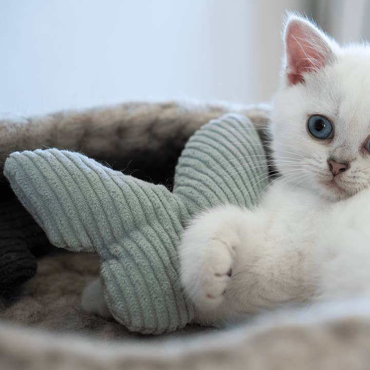 The Catery – Großhandel Haustierspielzeug – Katze – Baldrian / Katzenminze Kissen Schmetterling