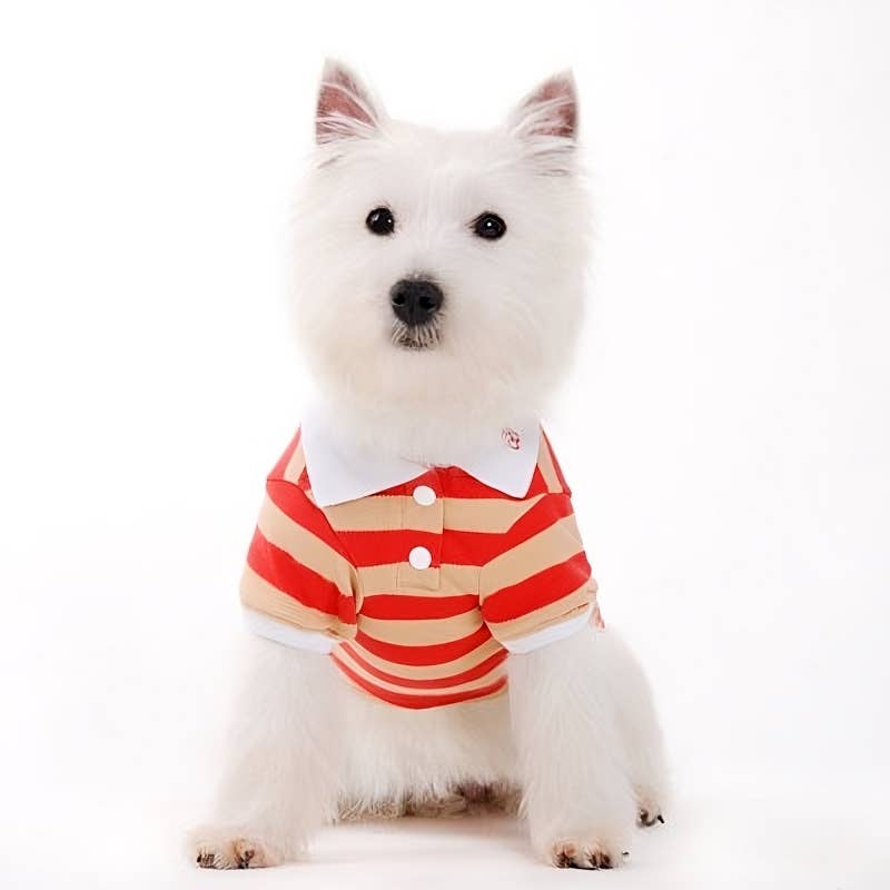 Dogo Pet - Wholesale Pet Shirt - Dog - PP Stripe Polo Shirt20