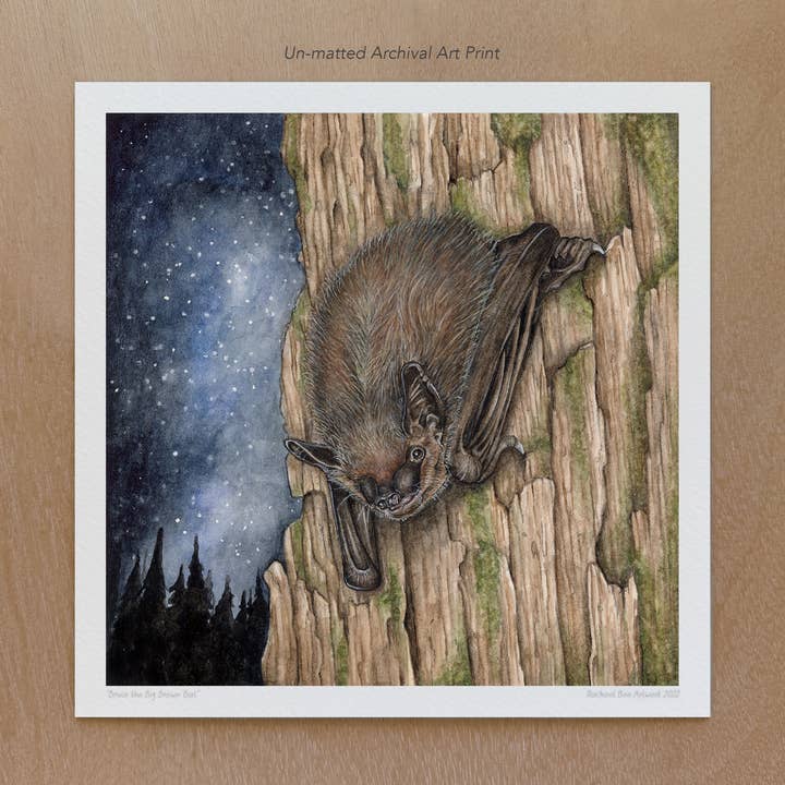 Bat Art Print for wholesale by Rachael Bee Artwork