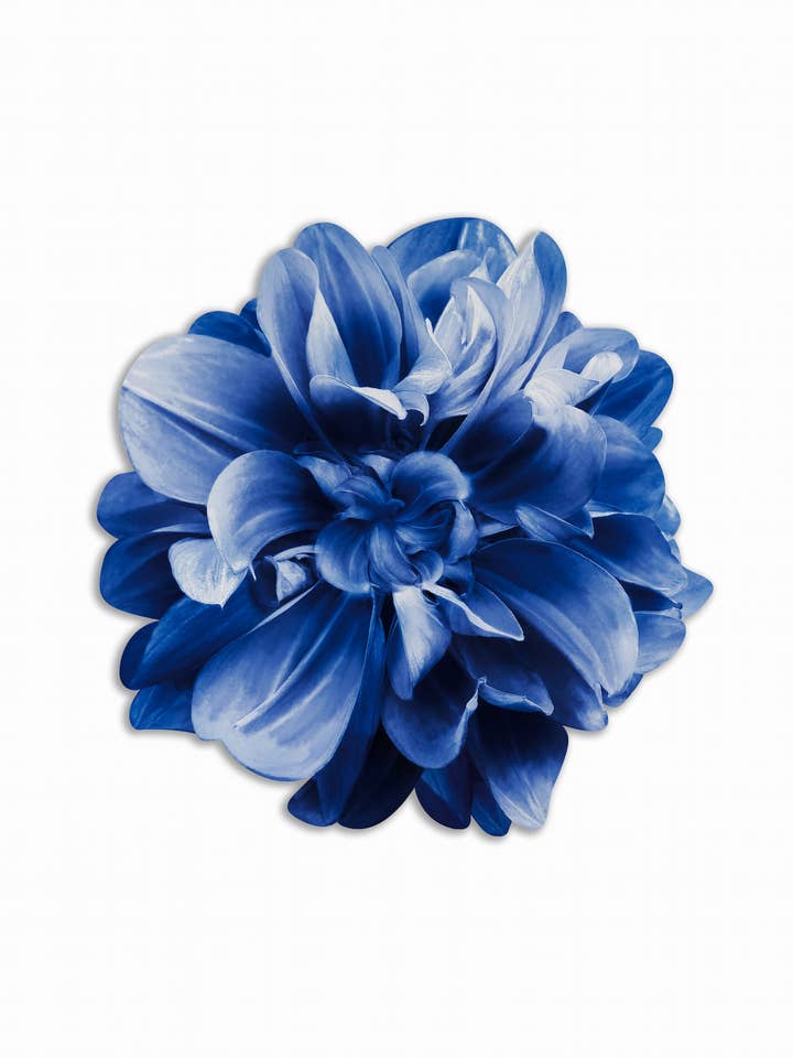 Lugar americano redondo Bouquet - Flor azul por atacado de Emily Evans