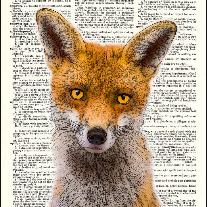 Dictionnaire Red Fox pour la vente par Fresh Prints of CT
