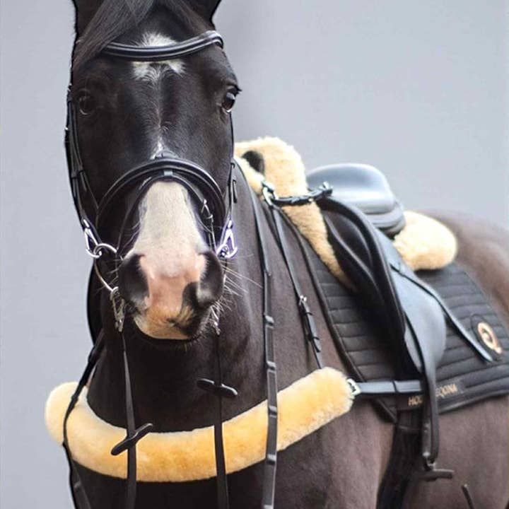 French Racing Breastplate — Sleek Control, Superior Freedom for wholesale by EPONIA EQUESTRIAN LIFESTYLE